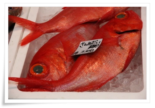 いきいき魚市-5 13.12.29