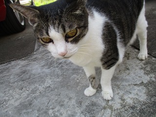 IMG_6383ss.jpg