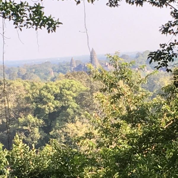 rblog-20190319193555-01.jpg