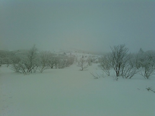 20150307不忘山登山道つぼ足.jpg