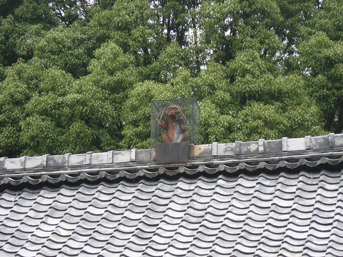 赤山禅院の猿.jpg