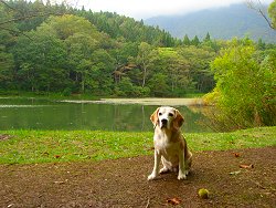 20121006おじか池