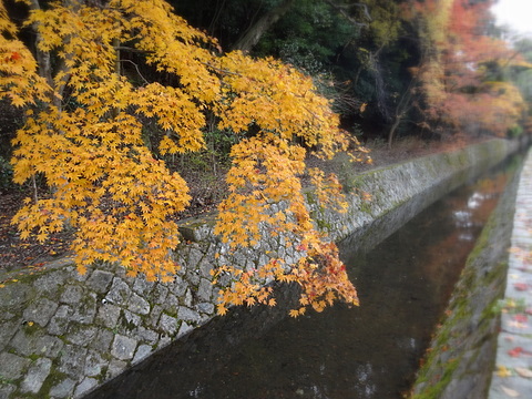 2012120235