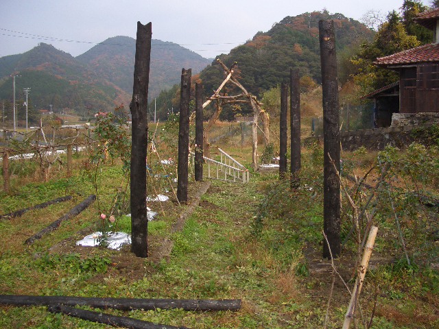CIMG8011.JPG