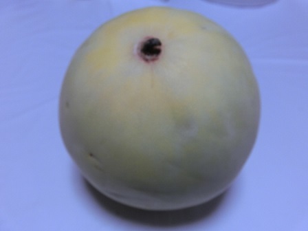 CIMG0796.JPG