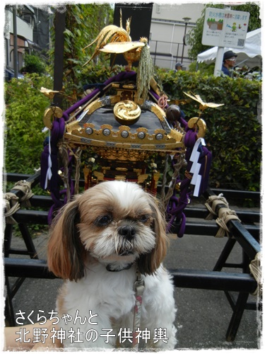 近くの神社の秋祭り