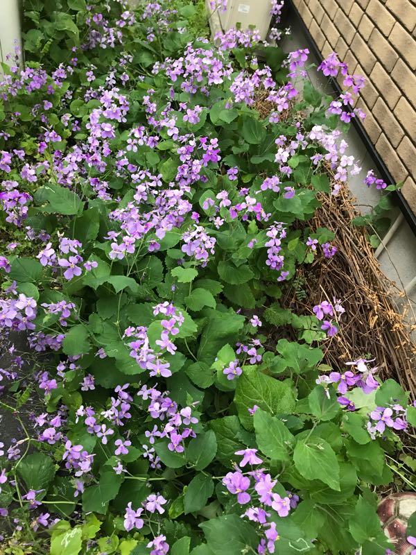 rblog-20190423182804-04.jpg