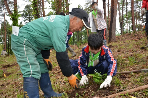 檜山の森づくり植樹祭inえさし
