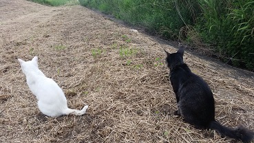 20160624_122009.jpg