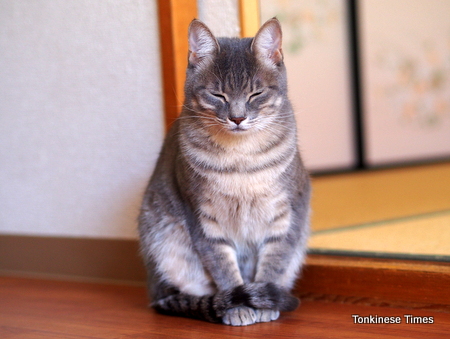 ショコラ3