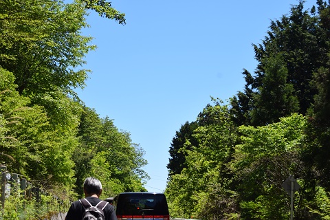 DSC_0161.jpg
