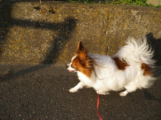 IMGP0011.JPG