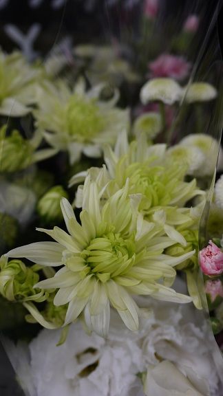 今日のお花 花屋な日々 楽天ブログ