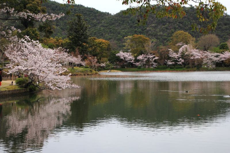 大沢池_002.jpg