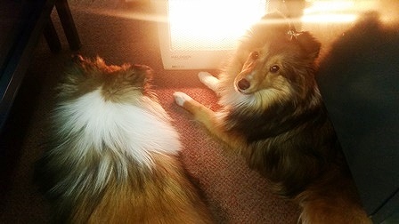 20160118_141215.jpg