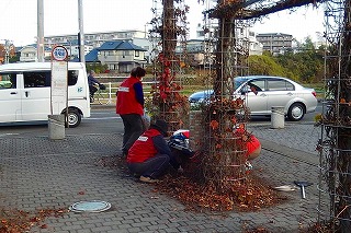 鎌が必要だったね