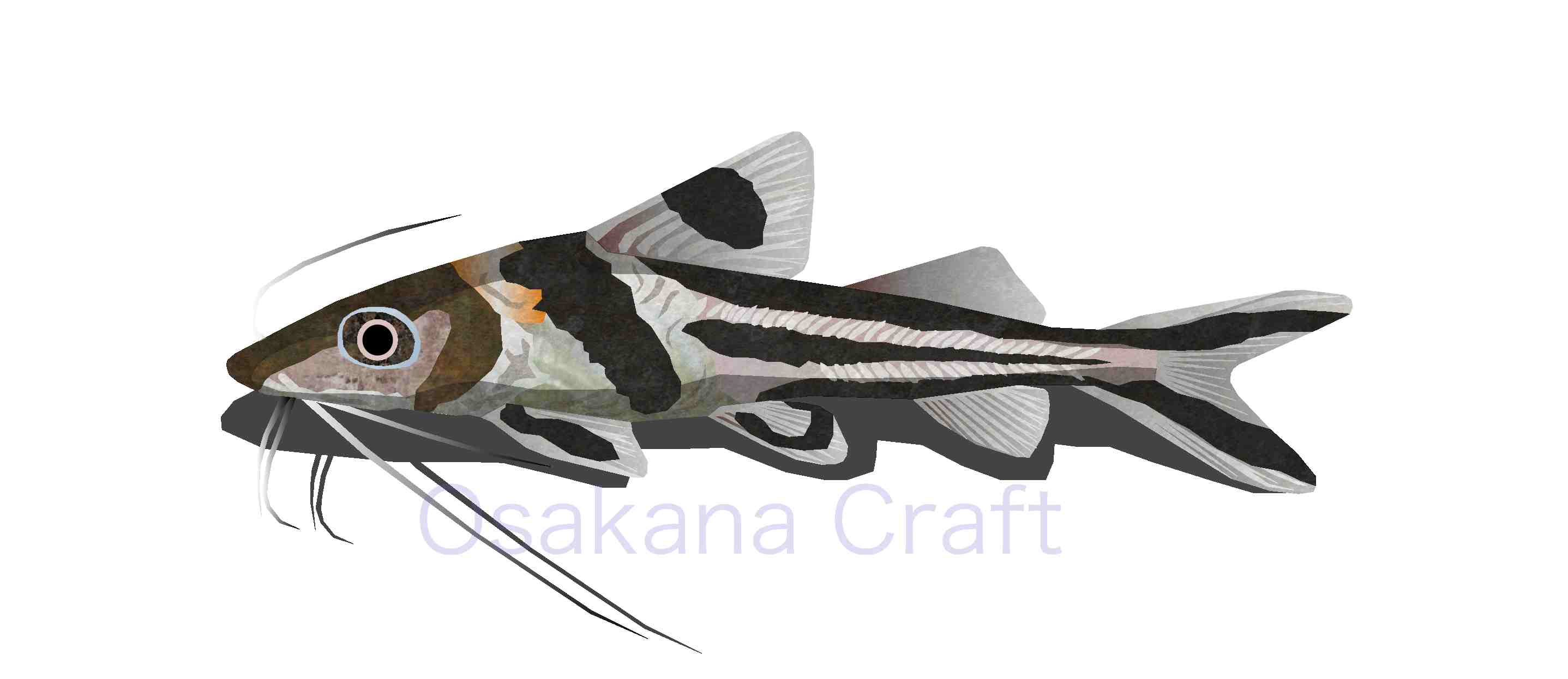 ナマズの仲間 Catfish | Osakana Craft イラスト熱帯魚図鑑