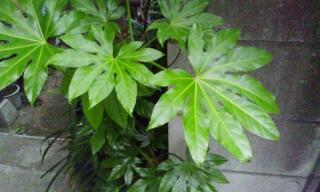 20120601_055539.jpg