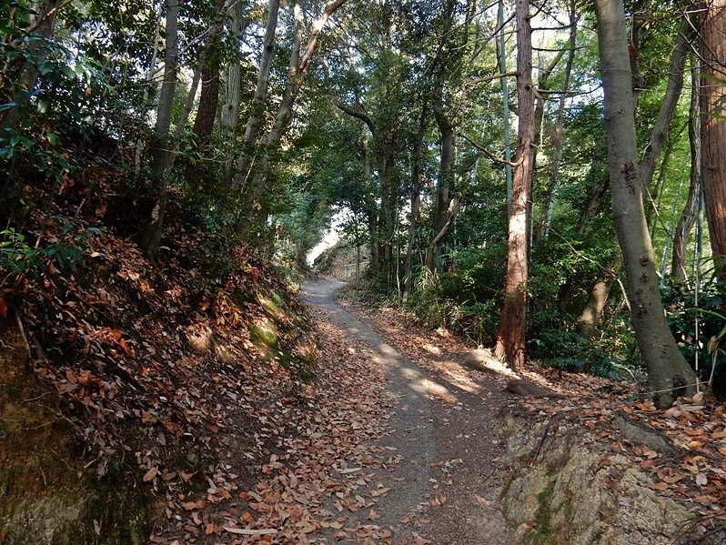 どんぐり峠 2.JPG