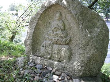 象さんに乗っていました