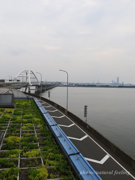 3高野山5号湾岸線中島パーキングエリア3.JPG