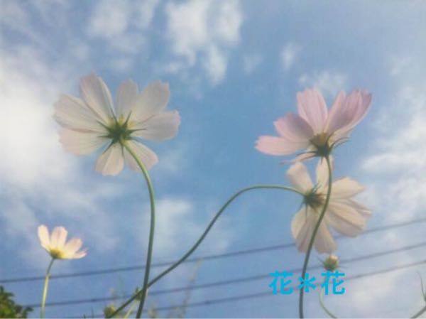 rblog-20170922223358-01.jpg