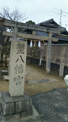 rblog-20170102094039-06.jpg