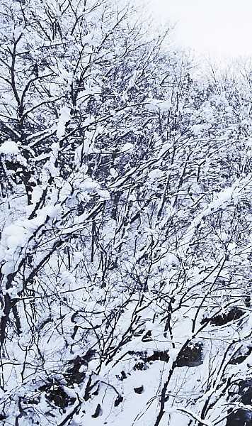 Fil 5 スマホだけは冬景色 自然派壁紙 楽天ブログ