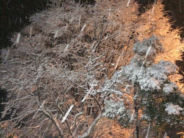 rblog-20150101055622-03.jpg