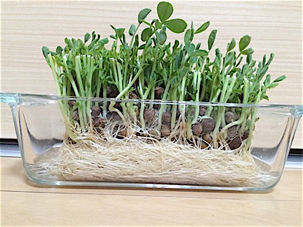 rblog-20180313113105-01.jpg