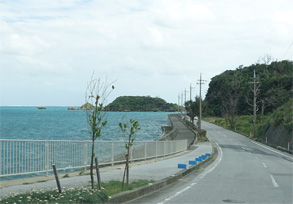 沖縄342.jpg
