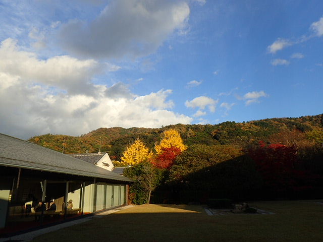 1711230280.JPG