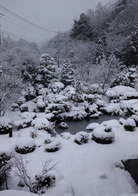 雪