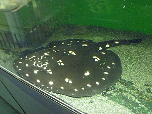 20141129(10).jpg