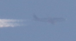 7D2_4683-14.jpg