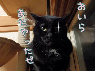 鈴オイラ.JPG
