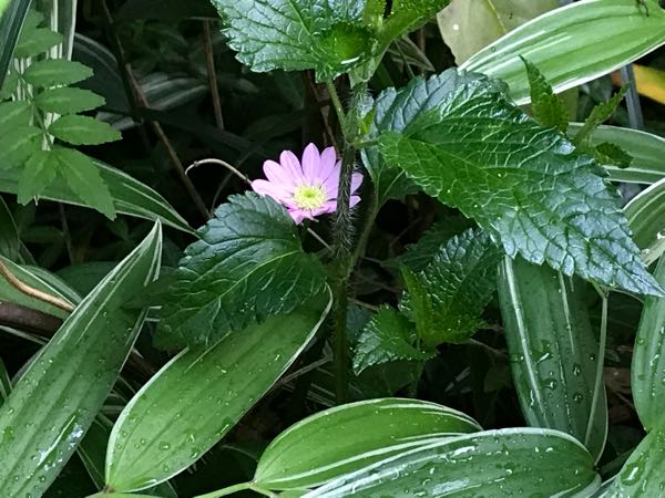 rblog-20180429182455-01.jpg