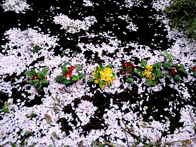 120426_133520.jpg