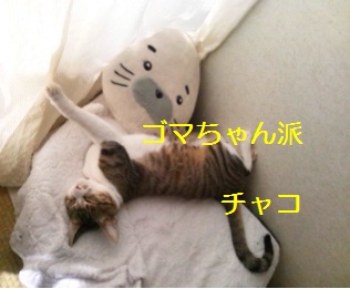 20120729_4.jpg