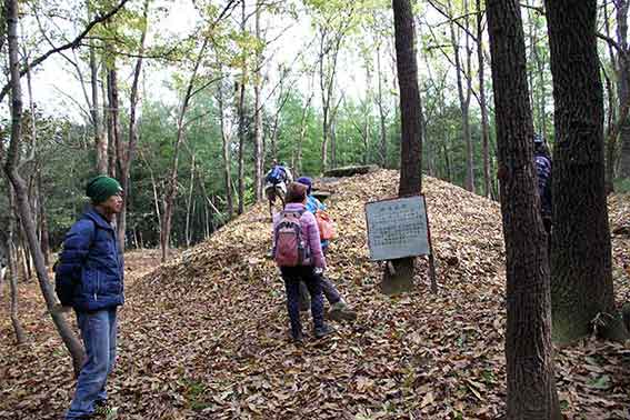 吉野川ウォーク-11♪