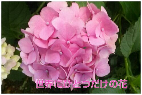rblog-20160616073810-00.jpg