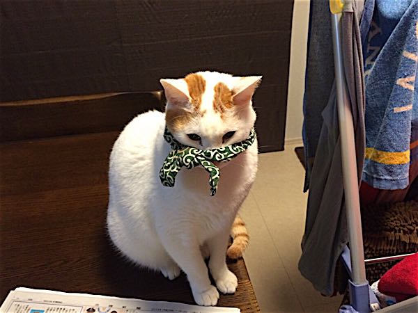 rblog-20141118063213-03.jpg