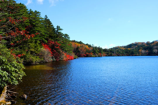 DSCF9385.jpg