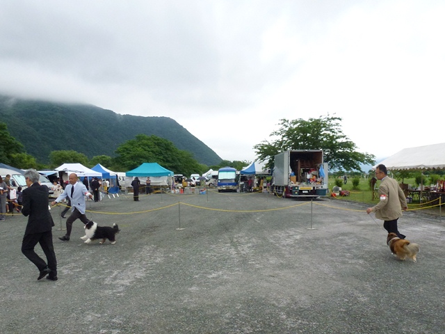P1010417 - コピー.JPG