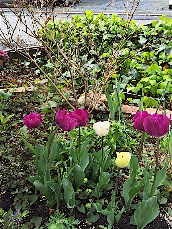 rblog-20160426224516-01.jpg