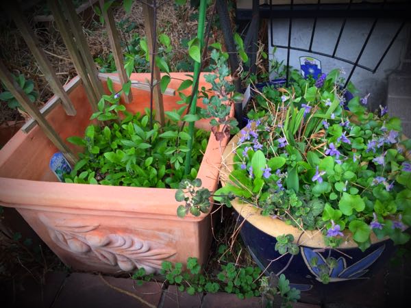 rblog-20160330184331-07.jpg