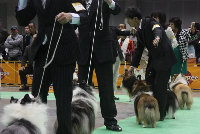 IMG_2681 - コピー.JPG