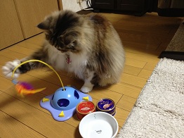 IMG_1547.JPG