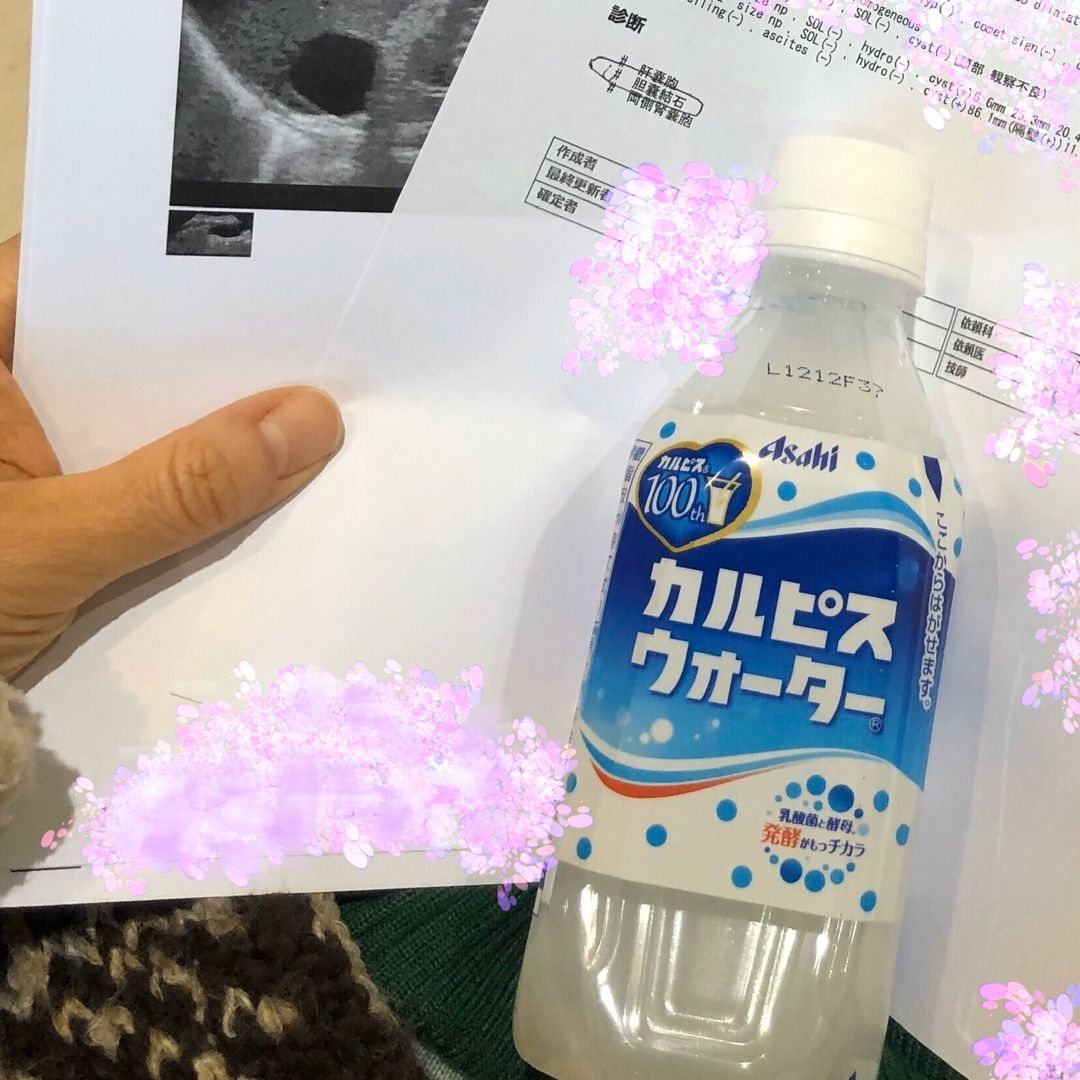 胆嚢に胆石 懐にカルピス 犬と旦那とiga ニャン 楽天ブログ