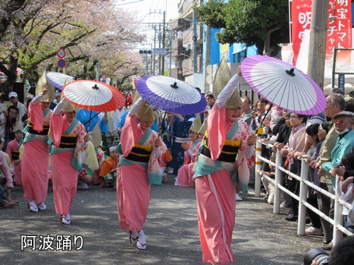 馬込文士村大桜まつり